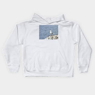 Glaucous gull Kids Hoodie